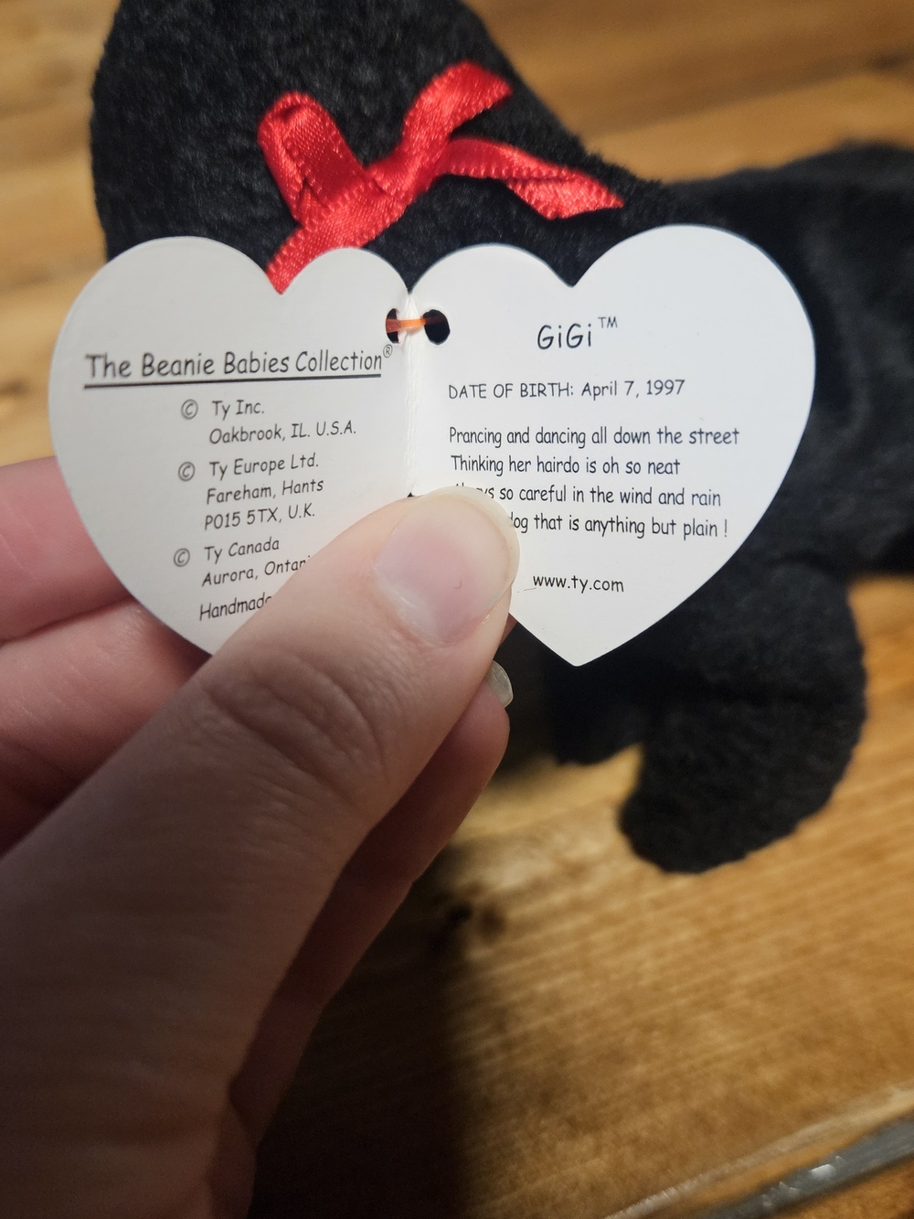 Gigi Beanie Babies - Black Poodle Dog - Picture 4 of 7